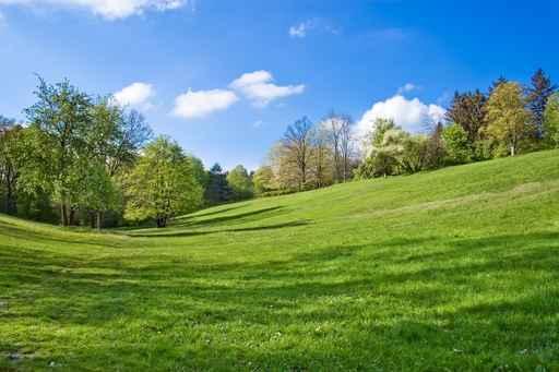 Landscape Wall Decal Design 2