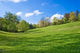 Landscape Wall Decal Design 2