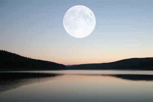 Evening Wall Decal