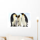 Antarctic emperor penguins Wall Mural