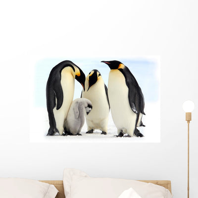 Antarctic Emperor Penguins Wall Mural shown on a wall