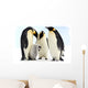 Antarctic emperor penguins Wall Mural