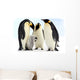 Antarctic emperor penguins Wall Mural