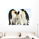 Antarctic emperor penguins Wall Mural