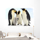 Antarctic emperor penguins Wall Mural