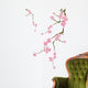 Cherry blossom Wall Decal