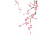 Cherry blossom Wall Decal
