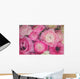 Pink Ranunculus Flowers Wall Decal