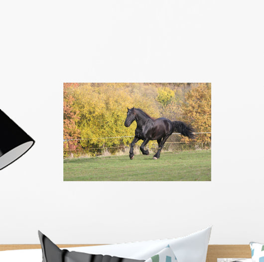 Friezes Gallop Wall Mural