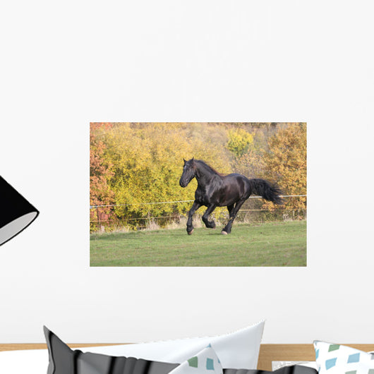 Friezes Gallop Wall Mural
