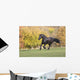Friezes Gallop Wall Mural