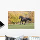 Friezes Gallop Wall Mural