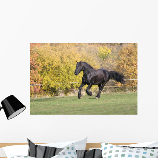 Friezes Gallop Wall Mural