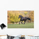 Friezes Gallop Wall Mural