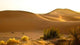 Dunes Au Petit Matin Wall Decal
