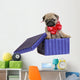Puppy present. Wall Decal