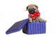 Puppy present. Wall Decal