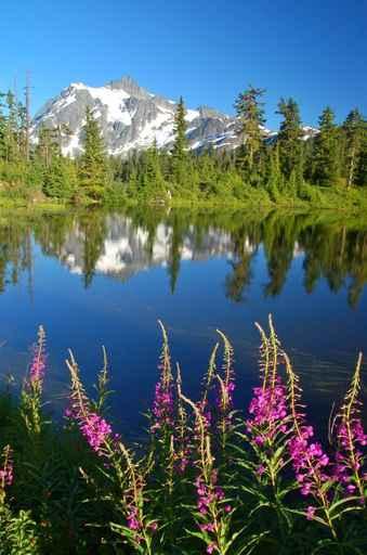Peak Reflections Wall Decal Design 5