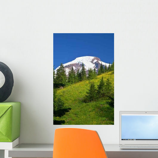 Mountain Views Wall Decal Design 1