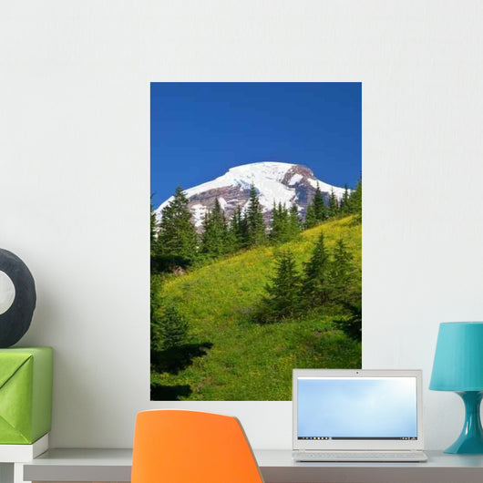 Mountain Views Wall Decal Design 1