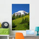 Mountain Views Wall Decal Design 1