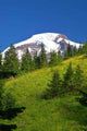 Mountain Views Wall Decal Design 1