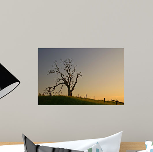 Spooky Tree Wall Mural