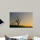 Spooky Tree Wall Mural