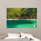 Panda Lake in Jiuzhaigou National Park, Sichuan Province Wall Mural