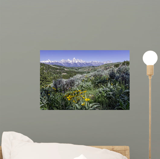 beautiful view of Grand Teton National Park Wall Mural