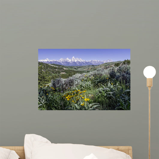 beautiful view of Grand Teton National Park Wall Mural
