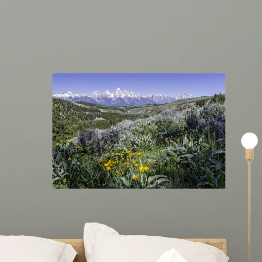 beautiful view of Grand Teton National Park Wall Mural