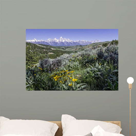 beautiful view of Grand Teton National Park Wall Mural