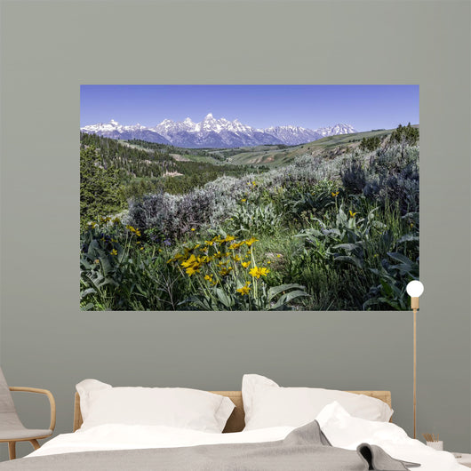 beautiful view of Grand Teton National Park Wall Mural