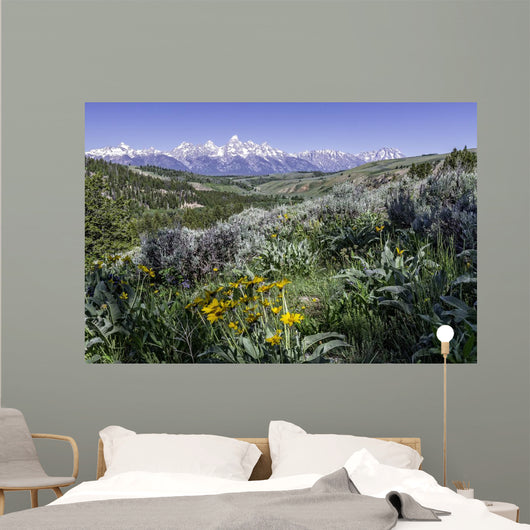 beautiful view of Grand Teton National Park Wall Mural