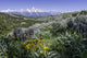 beautiful view of Grand Teton National Park Wall Mural