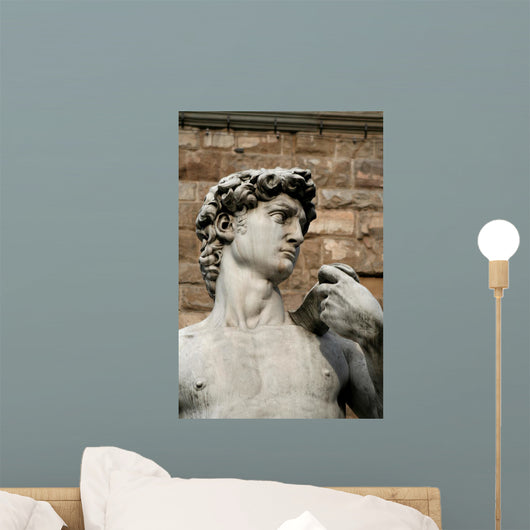 david - vertical Wall Mural