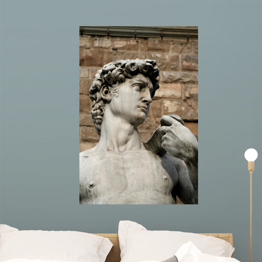 david - vertical Wall Mural