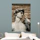david - vertical Wall Mural