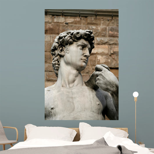 david - vertical Wall Mural
