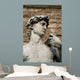 david - vertical Wall Mural