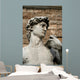 david - vertical Wall Mural