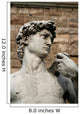 david - vertical Wall Mural