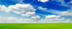Landscape Wall Decal Design 1
