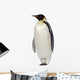 Penguin Wall Decal