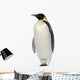 Penguin Wall Decal