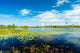 Florida Nature Preserve Wall Mural