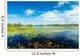 Florida Nature Preserve Wall Mural