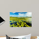 Florida Nature Preserve Wall Mural