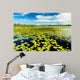 Florida Nature Preserve Wall Mural